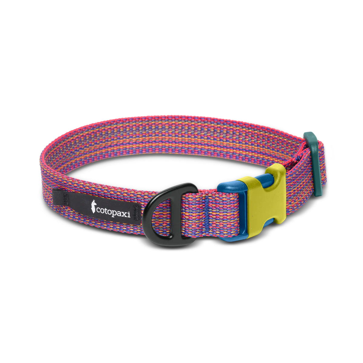 Del Día Dog Collar