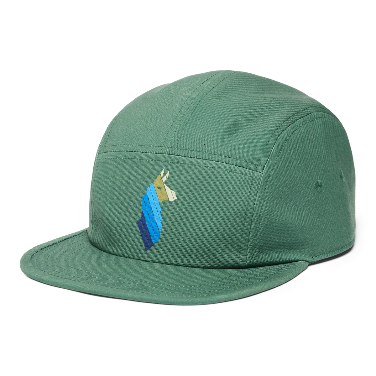 Llama Stripes 5-Panel Hat