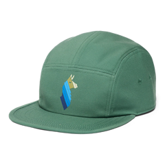 Llama Stripes 5-Panel Hat